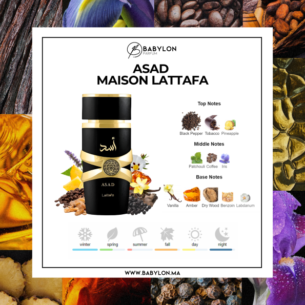 parfum asad prix maroc