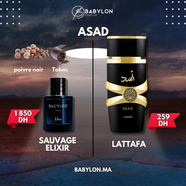 lattafa asad maroc